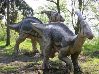 Parasaurolophus